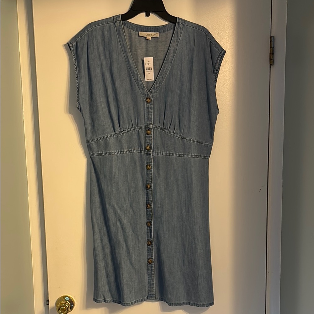 Denim Button-Down Dress